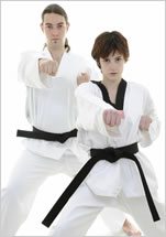 Pro Martial Arts Franchise Opportunities (Click Here)